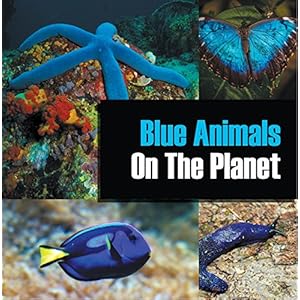 Blue Animals On The Planet: Animal Encyclopedia for Kids (Colorful Animals on the Planet Book 1)