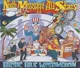 Electric Blue Watermelon
