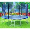 SixBros. Sport - SixJump TS305 XXL Professional Trampolino per il Giardino 3,05 m � 10FT | Scaletta | Rete di Sicurezza | Copertura anti-pioggia | Modello 2013