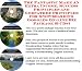 Book The Incredible How To Earn Extra Money, Marketing and Success Principles for Snowboarding Goggles Businesses 3 CD Power Pack