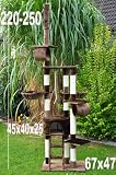 Katzenkratzbaum - Kratzbaum - FABY 2 - 220-250 cm - deckenhoch - BRAUN - 40122