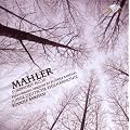 Mahler - Symphony No.10 ver.Barshai
