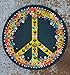 Natural Life Blue Peace decoration Magnet