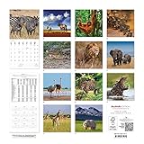 Image de Alpha Edition 16.0107 Wildlife Calendario da Muro 2016, 30 X 60 cm Aperto