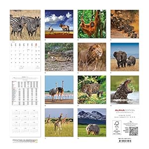 Alpha Edition 16.0107 Wildlife Calendario da Muro 2016, 30 X 60 cm Aperto