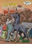 Surviving the Dust Bowl (Eye on History Graphic Illustrated)