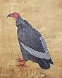 Indian Folk Art Miniatures Paintings Drawings & Water Color on Paper Procession 7 x 5.5 inches