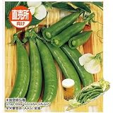うまい!莢ごと食べる豌豆 スナック(サカタ) 1dl...