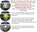 Book The Ultimate Make An Extra Income, Success Principles and Accounting & Finance for SCUBA Fins On-line Biz Package (3 CDs)