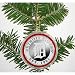 Detroit Tigers Silver Coin Ornament