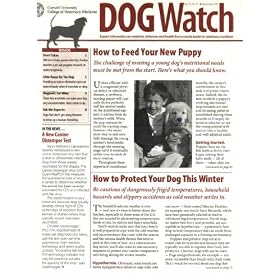 DogWatch