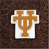 New Creative Texas Longhorns NCAA Stepping Stone