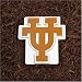 University of Texas Outdoor Stepping Stone or Wall Plaque