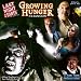 Last Night On Earth Growing Hunger Expansion