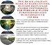 The Quick and Easy Make An Extra Income, Success Principles and Biz Networking for Portable Water Purifiers On-line Businesses 3 CD Course
