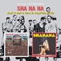Rock & Roll Is Here To Stay!/Sha Na Na