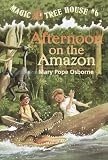 Afternoon on the Amazon