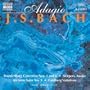 Concerto for Oboe and Violin in C minor, BWV 1060: Concerto in C minor for Violin and Oboe, BWV 1060: Adagio