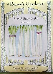 Leek French Baby Seeds 350 Seeds