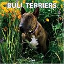 Bull Terriers 2008 Square Wall Calendar (German, French, Spanish and English Edition)