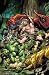 Search : Incredible Hulks: Planet Savage