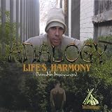 Lifes Harmonyhumble Beginnings