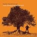 Search : Guitar Renditions of Jack Johnson Players