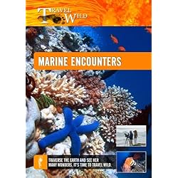 Travel Wild Marine Encounters