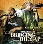 Bridging the Gap