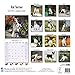 Rat Terrier Calendar - Breed Specific Rat Terrier Calendar - 2016 Wall calendars - Dog Calendars - Monthly Wall Calendar by Avonside