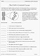 BIOLOGY GR 6-9