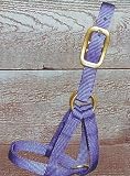 Hamilton Deluxe 3/4 Nylon Goat Halter