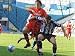 Jigsaw of No, Its my ball!! from Watford FC