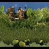 Pollywog In A Bog