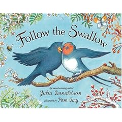 Follow the Swallow