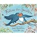 Follow the Swallow