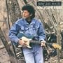 Lake Placid Blues