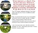 The Insider's How To Earn Extra Money, Marketing and Success Principles for Home Cinema Systems Internet Businesses 3 CD Power Pack
