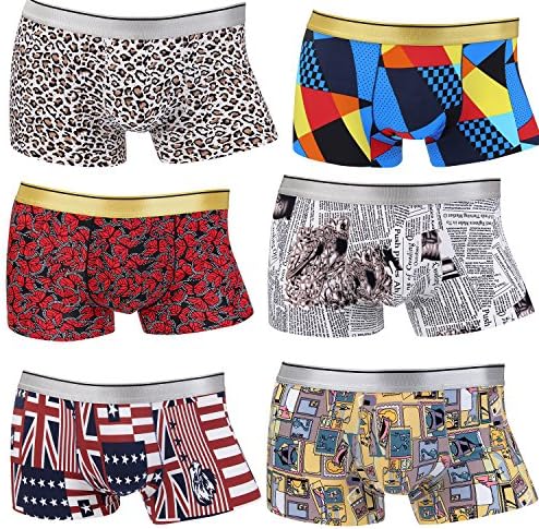 Sexy D Mens Comfort Soft Ice Silk Boxer Briefs Middle Rise Underwear,Teen Underpants,6 Pack