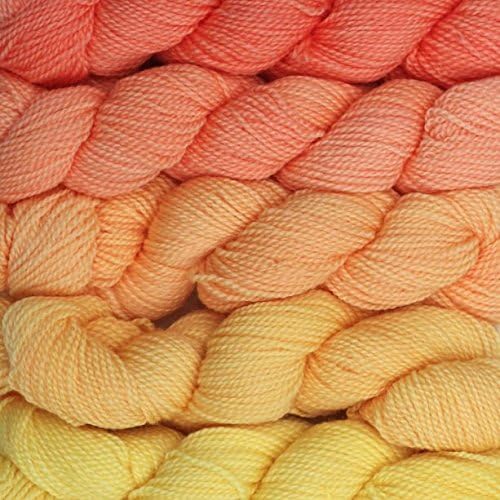 Wonderland Yarns Cheshire Cat Color Morph Skein Pack (Cheshire Cat (Fingering), Salmon to Yellow)