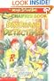 Dinosaur Detectives (The Magic School Bus Science Chapter Book 9)