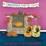 Christmas Time of Year