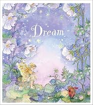 Dreams Take Flight Journal