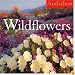 Audubon Wildflowers Calendar 2009 (Wall Calendars)