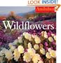 Audubon Wildflowers Calendar 2009 (Wall Calendars)
