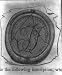 Wax stamp inscription,Rebellion to tyrants is obedience to God; Jefferson's seal