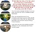 Search : The Rich Man's Make An Extra Income, Success Principles and Sales Models for Poems On-line Biz Package (3 CDs)
