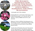 The Guerilla Marketing, Building Effective Lead Capture Web Pages, Affiliate Marketing for Cocoa Businesses
