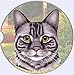 E&S Pets Silver Tabby Coaster, 3