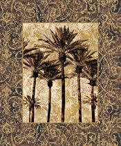 Palm Collage II Art Poster Print by John Seba, 20x24